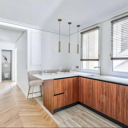 De Luxe Pres Des Champs Elysees Apartment Paris